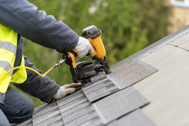 Best Roof Maintenance and Cleaning  in Lowell, MI