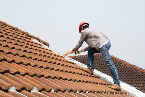 Best Roof Leak Repair  in Lowell, MI