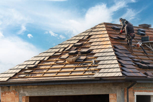 Best Roof Moss and Algae Removal  in Lowell, MI