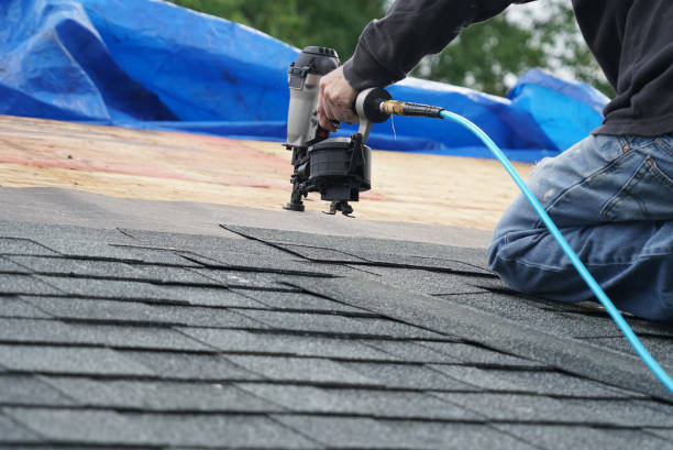 Best Roof Ventilation Installation  in Lowell, MI
